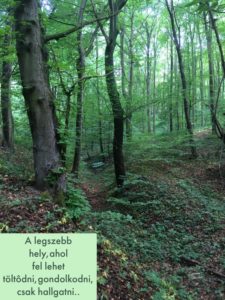 Testi-lelki egészség