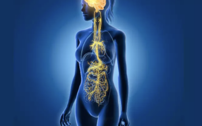 Bolygóideg stimulálás-Mik azok a szomatikus gyakorlatok, és hogyan segítenek?